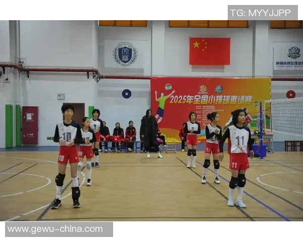 深圳排球队的精神之旅：探索排球背后的团队意识与文化传承